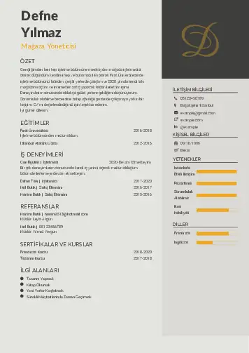 Yönetici CV Örnekleri cv indir